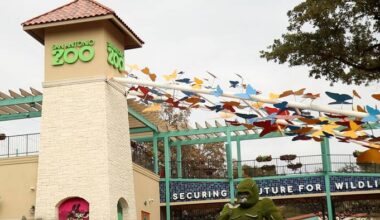 Bexar County residents can visit San Antonio Zoo for $8 on Locals Day