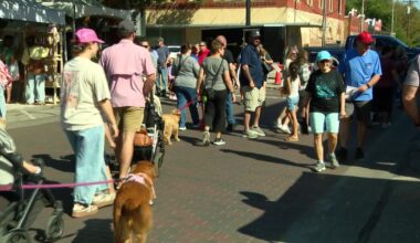 Crossroads of Texas GO TEXAN Country festival draws in crowds, vendors