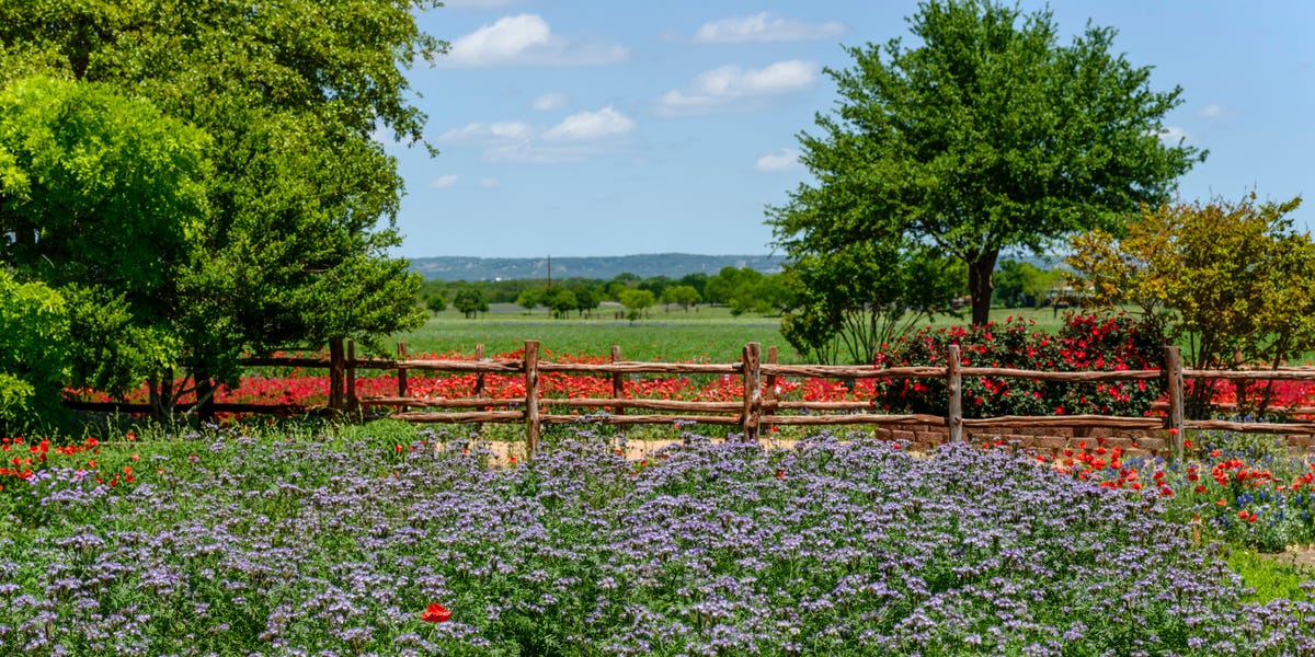 Texas Local: My Favorite Small City to Visit Is Fredericksburg