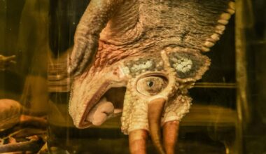 Herpetology Club to host public tour of UTA reptile, amphibian museum | Campus