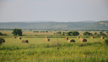 Texas General Land Office partners to help future Texas farmers | Agriculture
