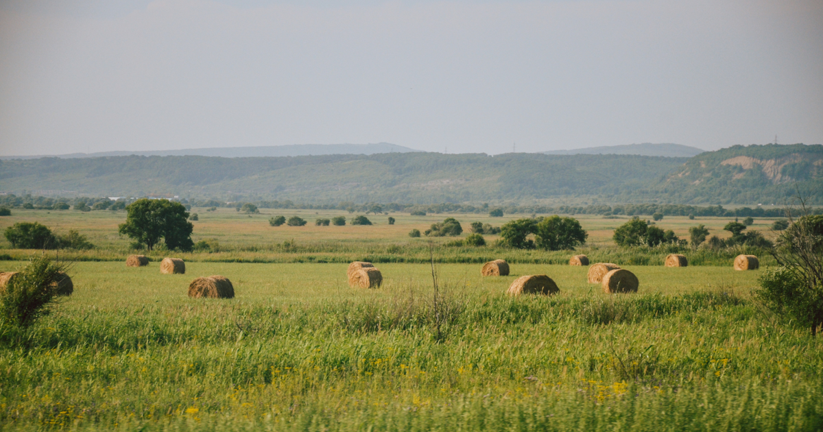 Texas General Land Office partners to help future Texas farmers | Agriculture