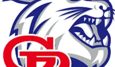 Gregory-Portland sweeps CC Ray, clinched playoff spot | San Patricio County