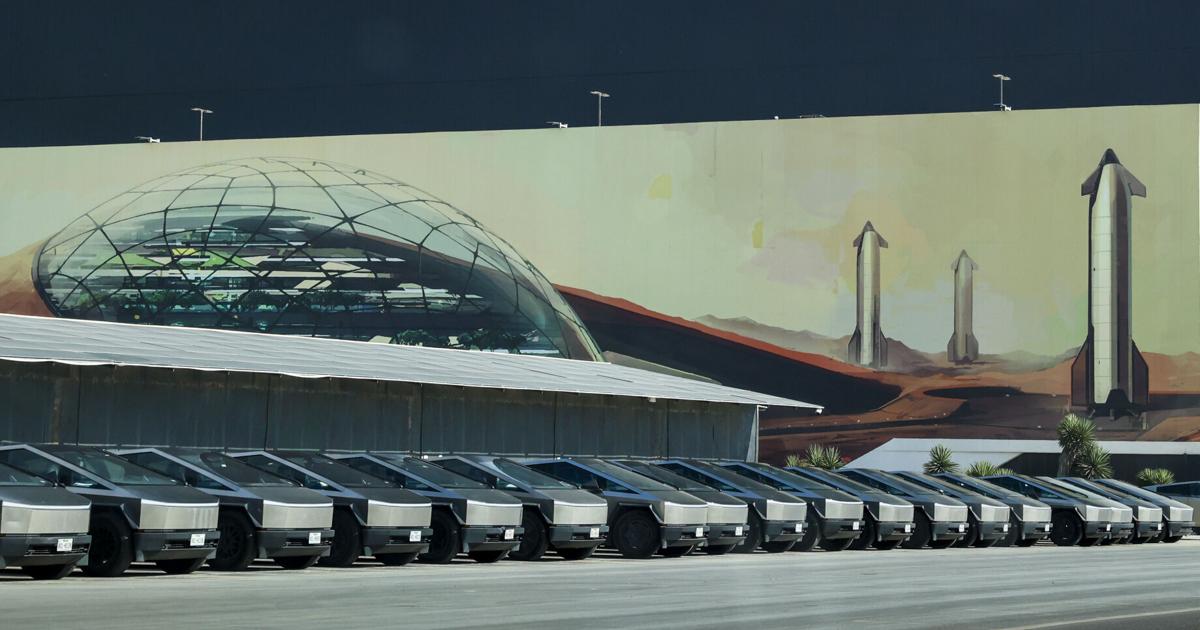 How Elon Musks’s SpaceX transformed Brownsville, Texas | Environment