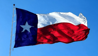 Here's a Guide to Texas' Statewide Offices on the November Ballot | 2026