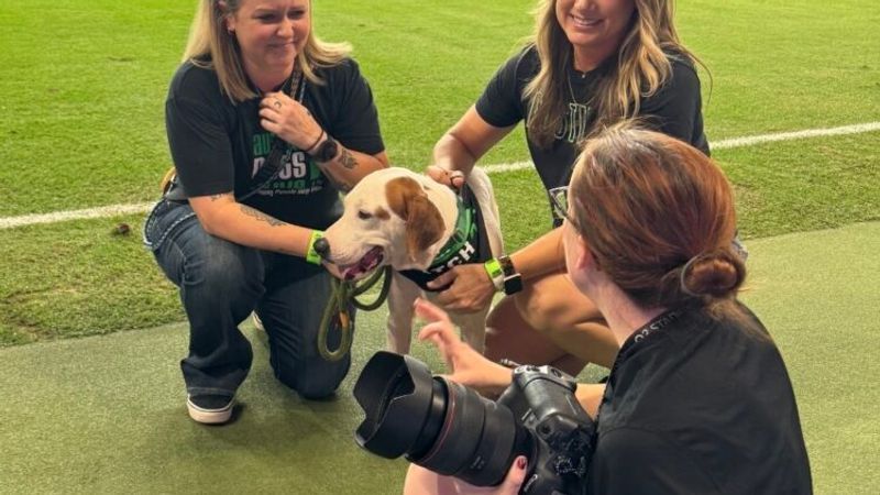 Walter is calm, loving, potty-trained and gets along well with children and other dogs. He's also a great travel companion who enjoys car rides, especially when treats are involved!