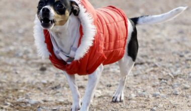 Houston’s first “real” cold front blasts through Friday