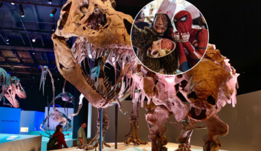 An adults-only ‘Spirits & Skeletons’ party takes over this Houston museum for one night only this October