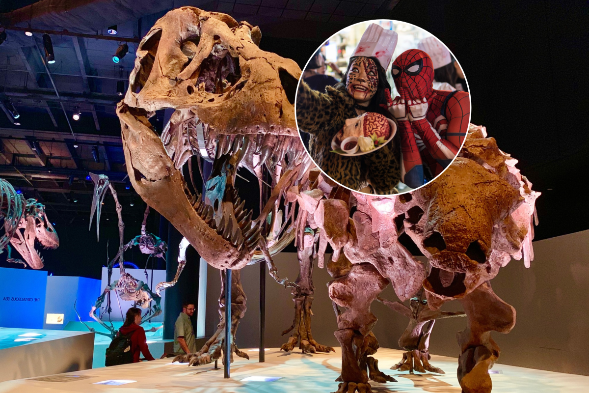 An adults-only ‘Spirits & Skeletons’ party takes over this Houston museum for one night only this October