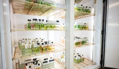 Now 50 Years Old, One of the World’s Most Diverse Collection of Organisms Lives On at UT