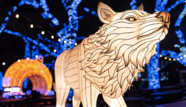 Featuring over two million holiday lights and massive glowing wildlife lanterns, a spectacular winter event is officially returning to the Dallas Zoo next month