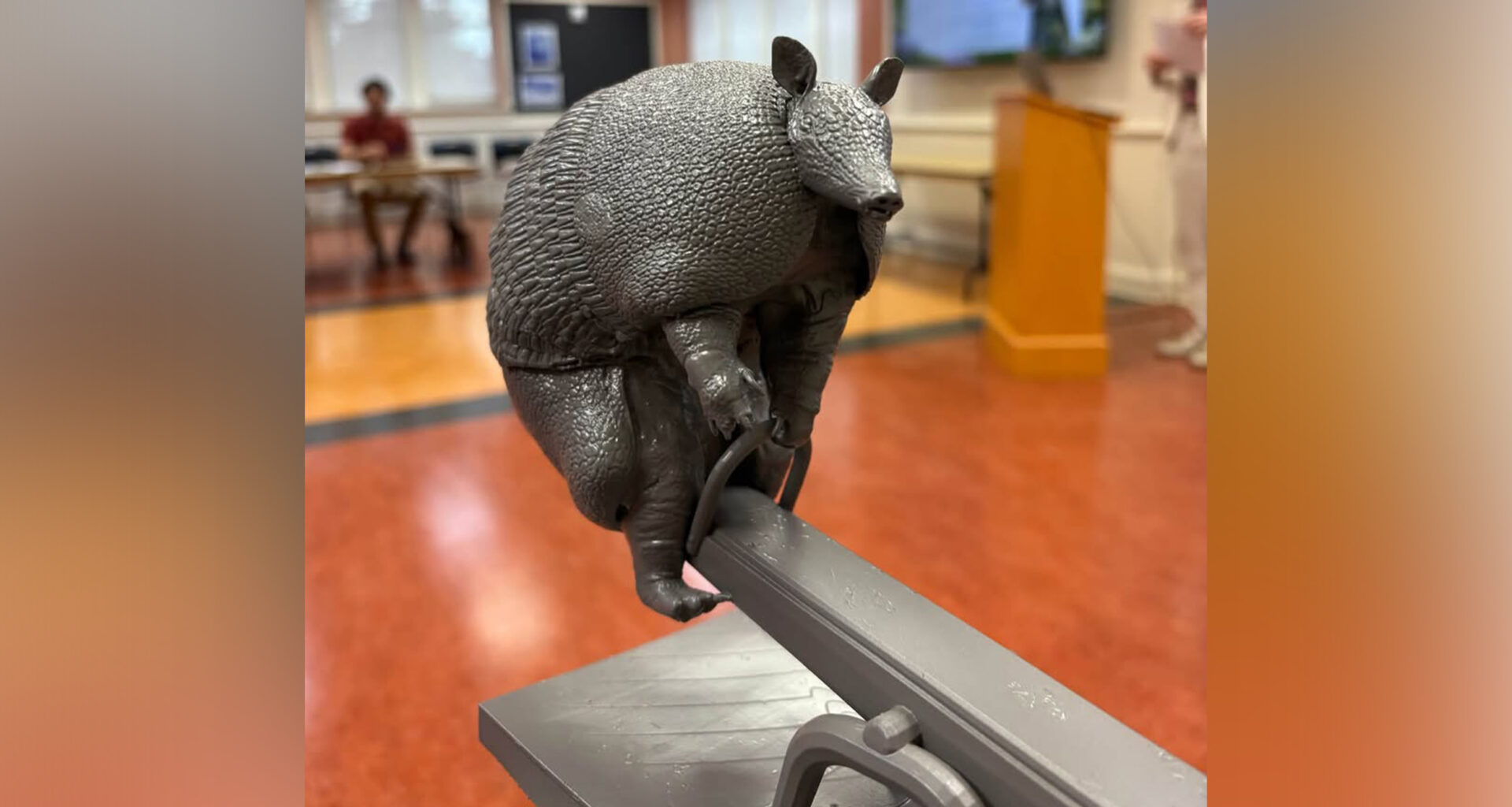 Gateway Park armadillo, citywide aquatics plan draw attention of park board