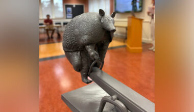 Gateway Park armadillo, citywide aquatics plan draw attention of park board