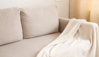 Washable Sofa Toppers Are Having a Moment with Pet Owners