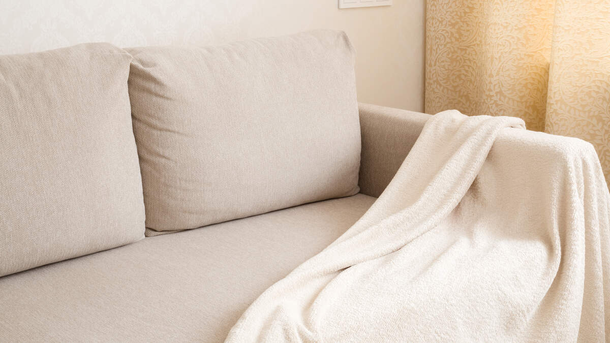 Washable Sofa Toppers Are Having a Moment with Pet Owners