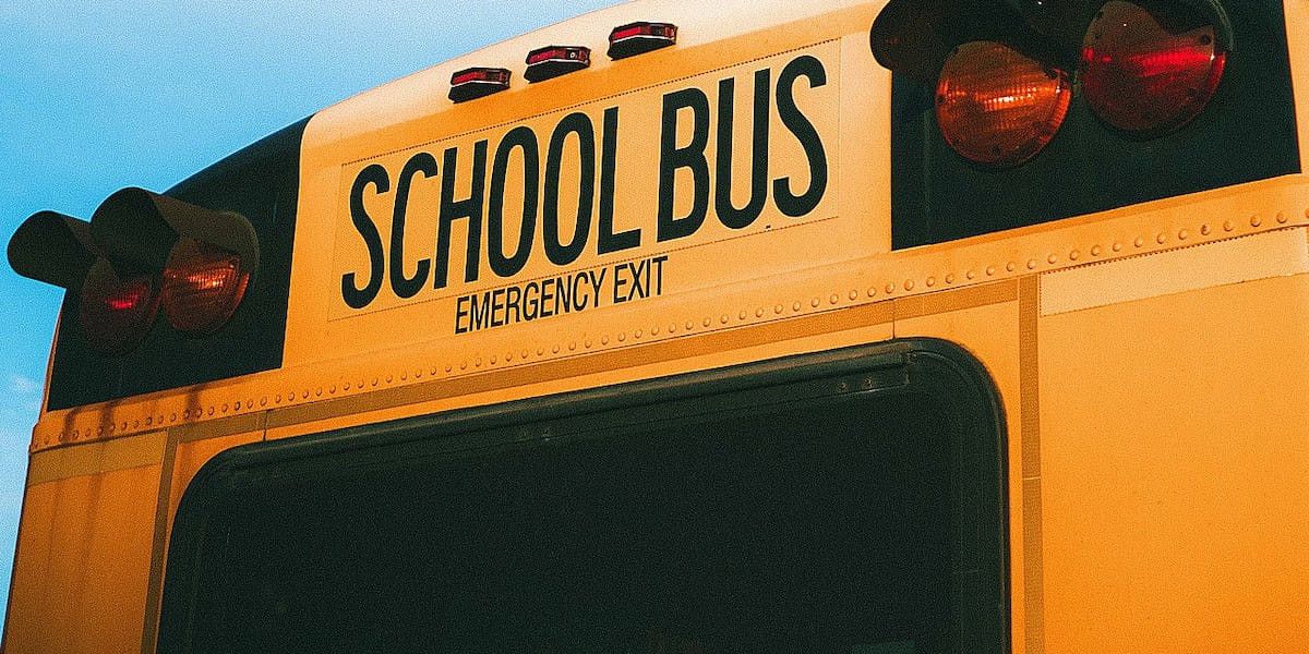 Texas DPS urges drivers to prioritize safety during National School Bus Safety Week