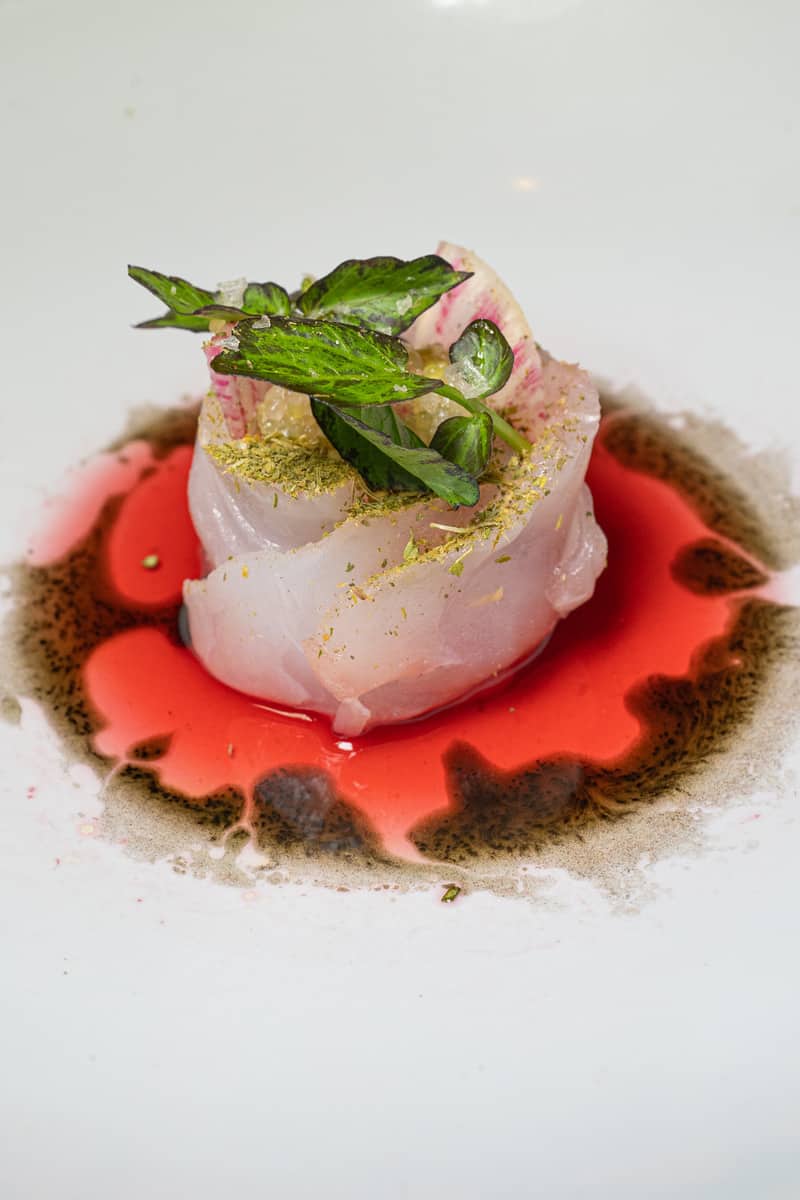 A plate of gourmet raw fish with red sauce and green herbs.