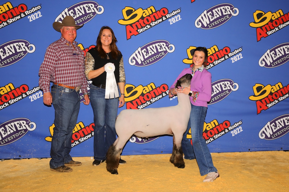 A high school age woman displays her show sheep while her parents display a white ribbon