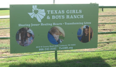 Texas Girls and Boys Ranch uses equine therapy to help foster children