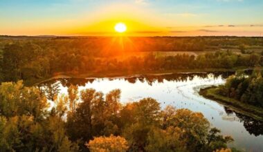 New Texas state park planned after $10 million Lake Palestine purchase – NBC 5 Dallas-Fort Worth