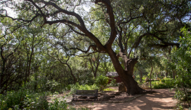 Zilker Botanical Garden | Austin Parks and Recreation