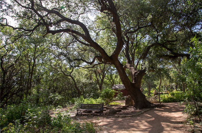 Zilker Botanical Garden | Austin Parks and Recreation