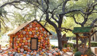 NorthPark Pumpkin Patch Brings Enchanting Fall Installations for its 3rd Year