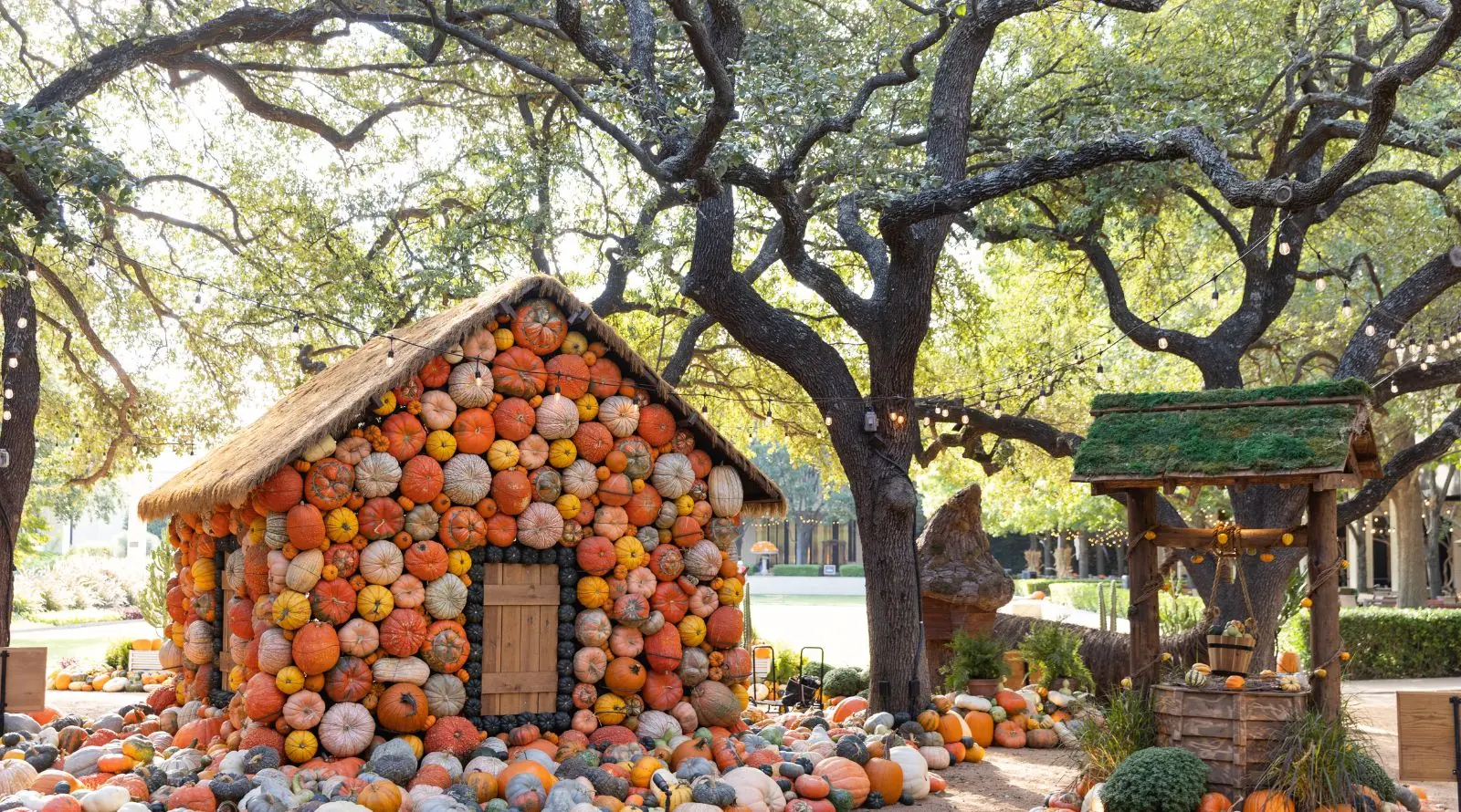 NorthPark Pumpkin Patch Brings Enchanting Fall Installations for its 3rd Year