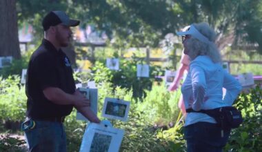 SFA Gardens plant sale brings enthusiasts from across Texas together in Nacogdoches