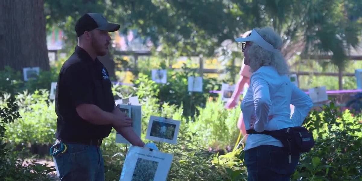 SFA Gardens plant sale brings enthusiasts from across Texas together in Nacogdoches