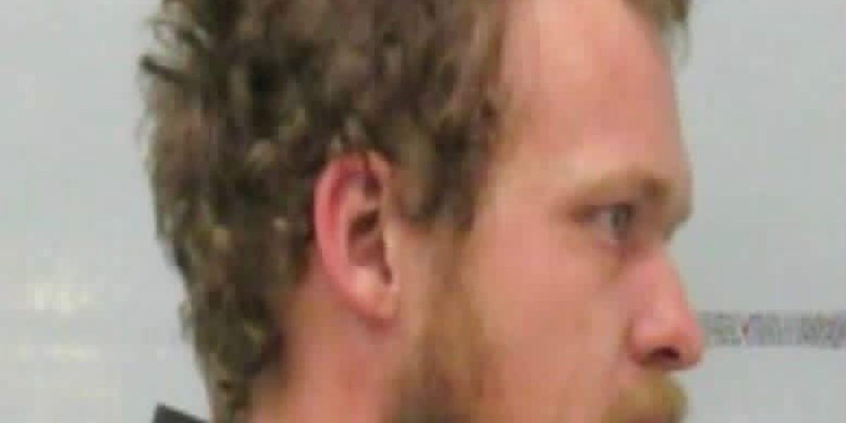 Man wanted in crimes against children investigation taken into custody
