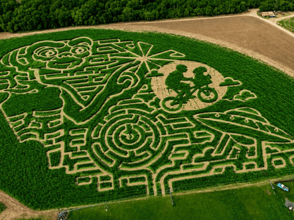San Antonio-area pumpkin patches and corn mazes to check out for fall 2026
