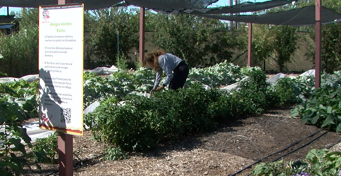 Sunday Funday: Growing through food, faith and service at the Mustard Seed Cafe