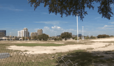 Dallas Mavericks new arena plan could boost local businesses – NBC 5 Dallas-Fort Worth