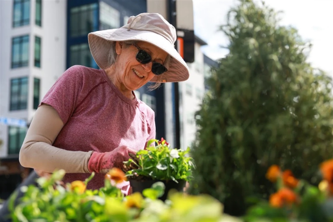 A volunteer wearing sunglasses and a garden hat plants flowers in a container in Downtown Arlington.