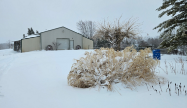 Vital Car Care Tips To Survive The West Texas Freeze Watch
