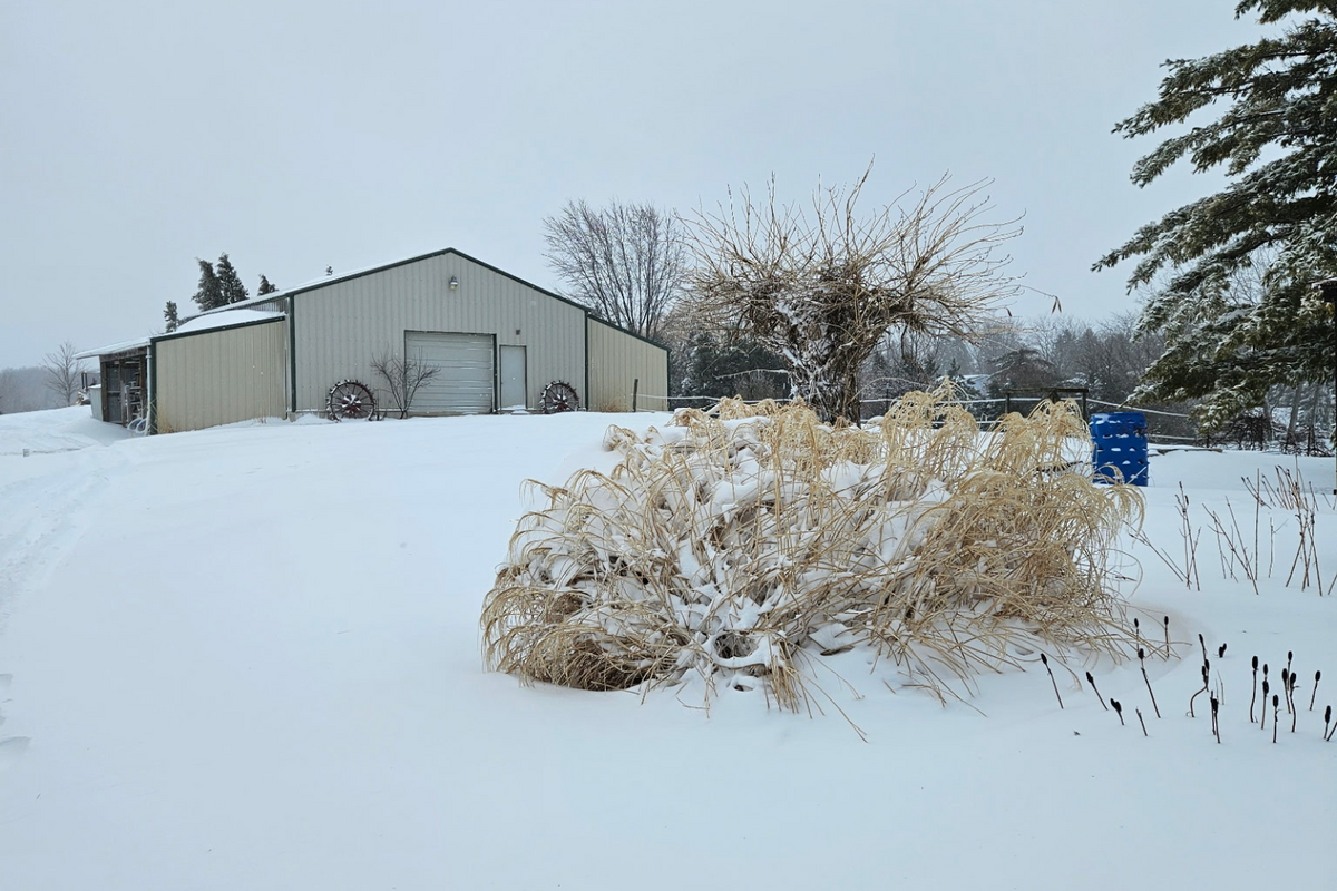 Vital Car Care Tips To Survive The West Texas Freeze Watch