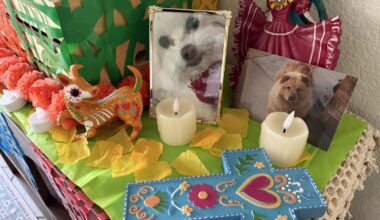 The Meaning Behind Día de los Muertos Altars in El Paso