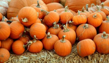 Halloween Events In Lubbock, From Free To Thirty-five Dollars