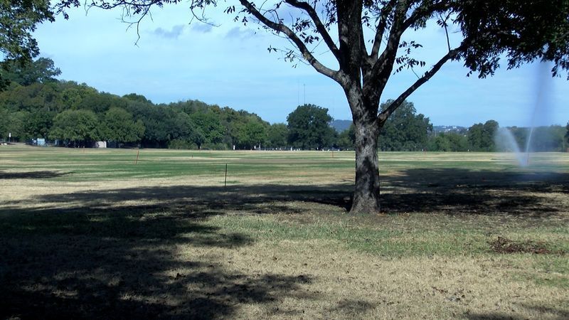 The city's Parks and Recreation Board is considering how to protect it for years to come. (CBS Austin/Brenna Gibbons)
