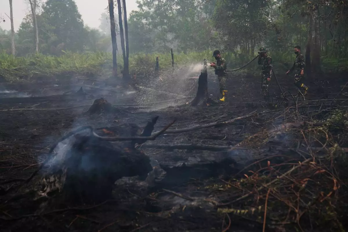 Soldiers spray water to put out wildfires burning in peatland forest in Kubu Raya, West Kalimantan, Indonesia, Saturday, Sept. 12, 2026. (AP Photo/Tatan Syuflana)