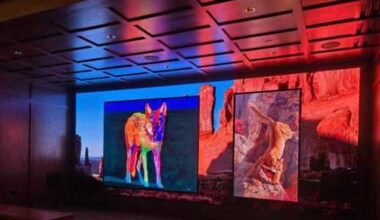 Briscoe Museum caps SA revamp with new video installation
