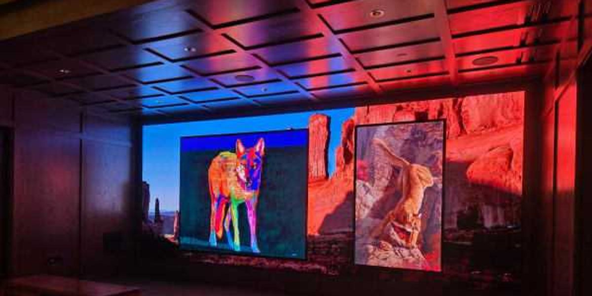 Briscoe Museum caps SA revamp with new video installation