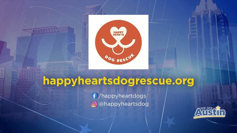 happyheartsdogrescue.org