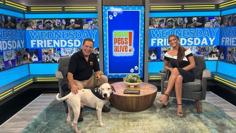 Steve Garcia from Austin Pets Alive! joined Sierra Waggoner on We Are Austin to introduce Walter and share how fostering helps save the lives of animals across Central Texas.