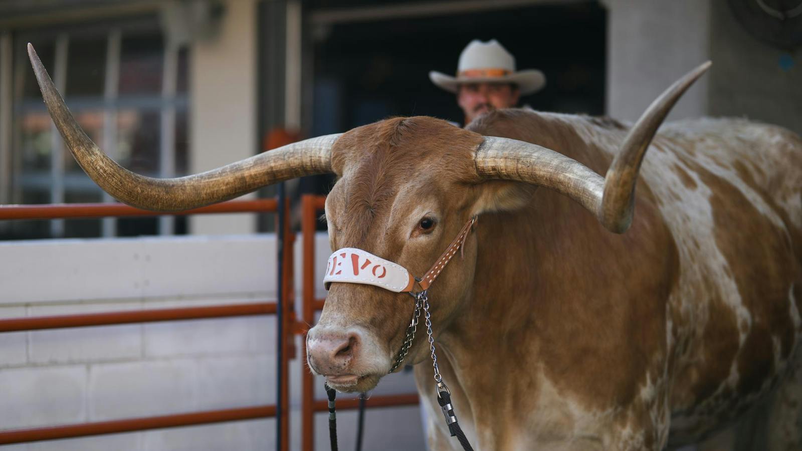 FB at Texas - 101726 03.jpg