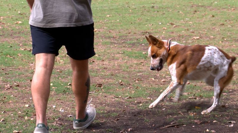 For visitors like Hewitt, protecting the park is important, even when it means temporary closures. (CBS Austin/Brenna Gibbons)