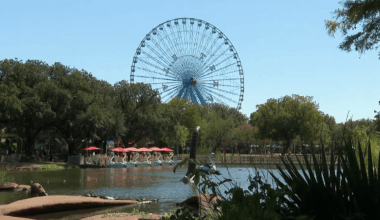 Fair Park sees progress one year after Dallas resumes control – NBC 5 Dallas-Fort Worth