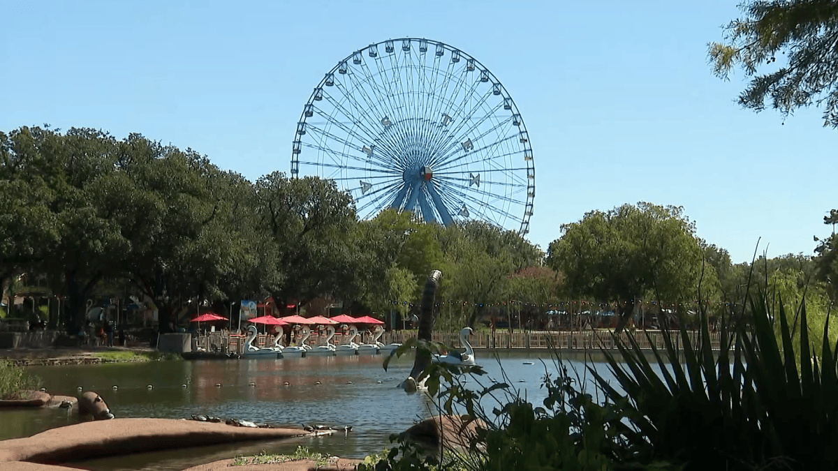 Fair Park sees progress one year after Dallas resumes control – NBC 5 Dallas-Fort Worth