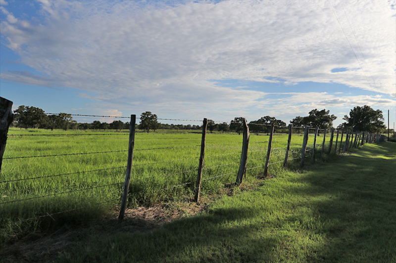 GLO, Texas A&M, TFB partner to support next generation of farmers A new partnership aims to connect the next generation of Texas farmers and ranchers with land, training and mentorship.